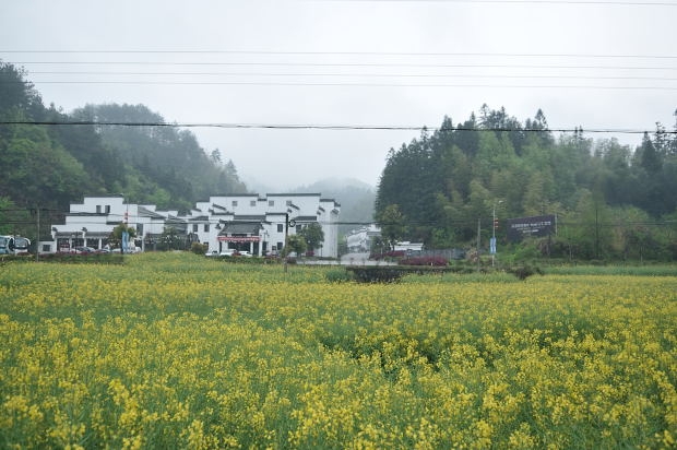 皖南_3.JPG