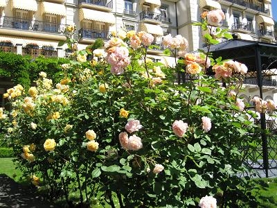 2012.6.12-21欧洲之旅 844.jpg