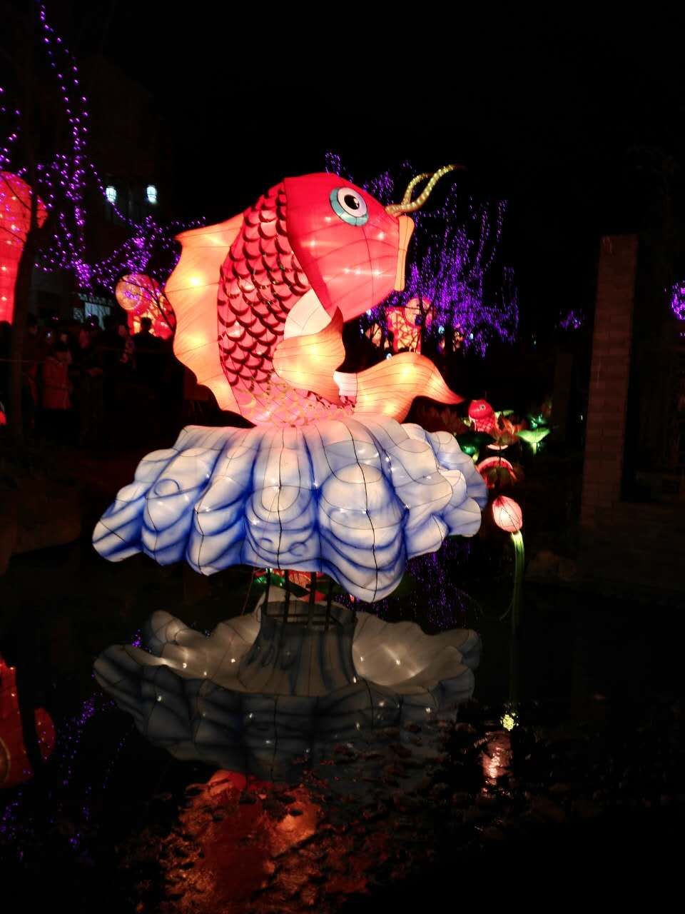 贵州兴义鲁屯古镇——元宵灯会之年年有鱼.jpg