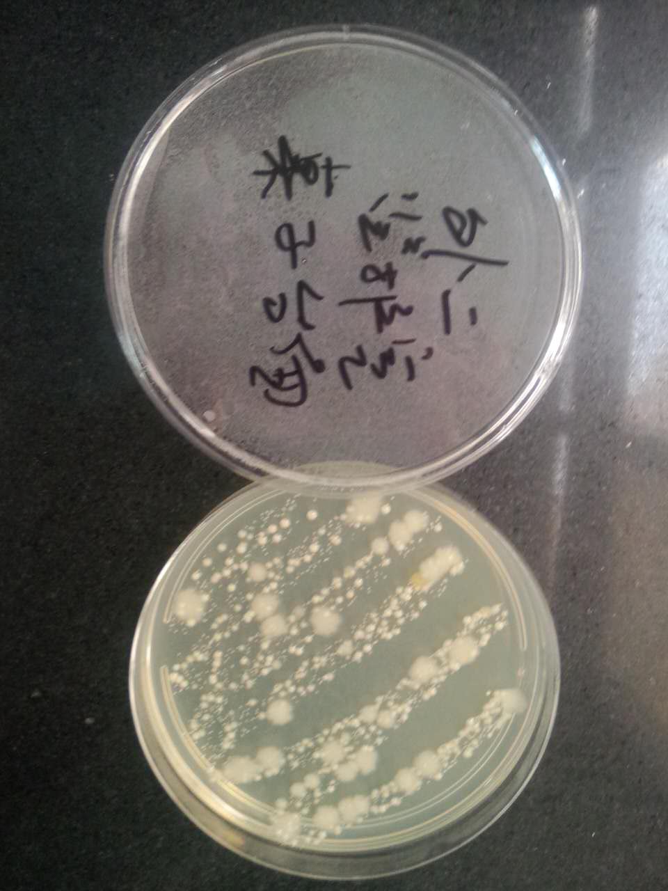 耐药菌病人桌子台面