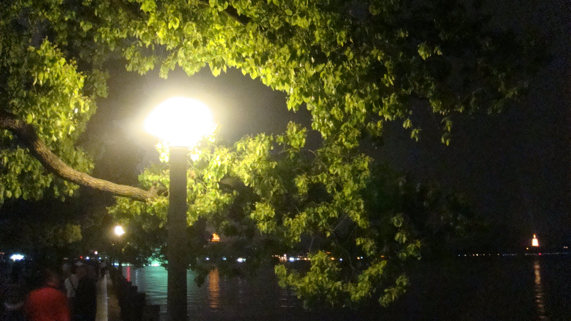 2009-4-23 20-02-22_0221.JPG