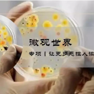 微观世界丨位列第３位的非发酵菌-嗜麦芽窄食假单胞菌